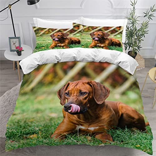 AOYNP Bettwäsche 135x200 Rhodesian Ridgeback 3D Druck Weiche Mikrofaser Bettwäsche Set Kinder Jungen Mädchen Kawaii Haustiere Welpe Bettbezüge mit ReißVerschluss und 2 Kissenbezug 80x80cm