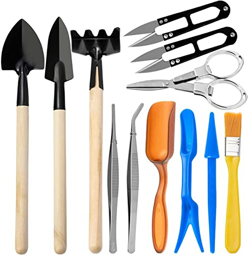 Holzsammlung Mini Conjunto de Herramientas de Jardineria, 12PCS Mini Juego de Herramientas de Trasplante de Jardín, para Jardinería para Cactus, Suculentas, Plantas Maceta