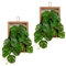 Hollyone 2PCS Hanging Artificial Plants with Wooden Frame, Dual-use Fake Monstera Plant Faux Indoor Plants, Trailing Greenery for Desk, Bathroom, Bedroom Wall, Kitchen Decorations