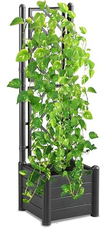 NG NICCOLAI FIORIERA DA ESTERNO IN PLASTICA CON SPALLIERA RETTANGOLARE O QUADRATA VARI COLORI - MADE IN ITALY (ANTRACITE, QUADRATA (43X43X142(H) CM))