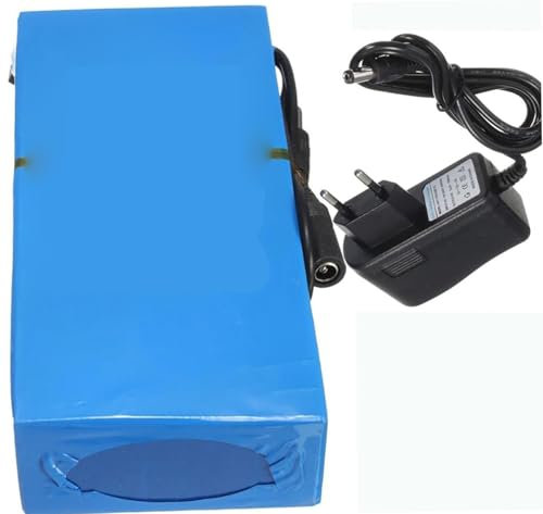 Pacco Batteria Al Litio 12V 20Ah Pacco Batteria Ricaricabile 12 Volt DC Batteria Ai Polimeri Di Litio Portatile Per Alimentazione Strisce Luminose A LED Con Caricabatterie 12V 20000mah