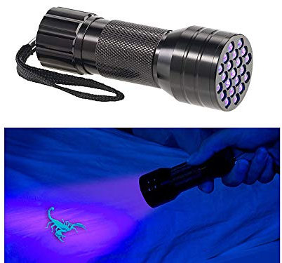 PEARL UV Lampe: 2in1-UV-Taschenlampe und Geldscheinprüfer, 21 LEDs und Batteriebetrieb (Schwarzlicht Taschenlampe, Schwarzlicht Lampe, Schwarzlichtleuchte)