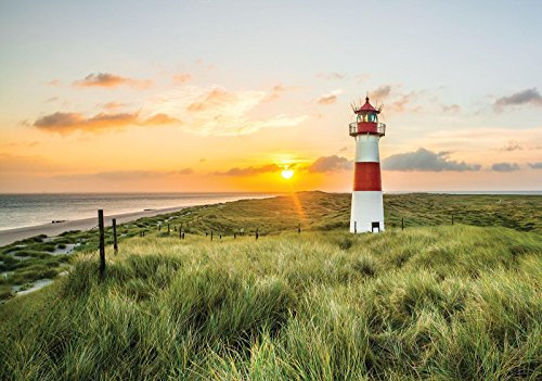 ForWall - Vlies Fototapete Strand Meer Nordsee Gräser Leuchtturm Sonne 208x146 cm - Fototapeten - Tapeten - für Wohnzimmer Schlafzimmer - Vliestapete Wandtapete Tapete 3D Effekt- inkl. Kleister