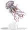 Piececool Puzzle 3D Metal Maquette Méduses, Puzzle 3D Organismes Marins de Acier Inoxydable 430, Restauration 100%, Maquette Metal, Cadeau d'anniversaire pour 3D Puzzle Adulte, 61 Pièces (Rose)