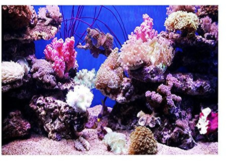 Hintergrund Aquarium HD Ozean Meereshintergrund Coral Wallpaper 3D Effekt Aufkleber Unterwasserwelt Hintergrund Dekoration für Aquarium (61 * 30cm)