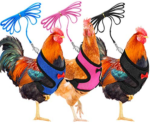 Boao 3-teiliges verstellbares Oster-Hühner-Geschirr und Leine für Hühner, bequeme Henne-Weste mit passendem Gürtel, atmungsaktives Trainingsgeschirr für Huhn, Entengans, Haustier (Blau, Rosa, Schwarz,