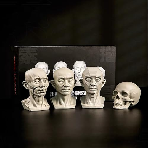 Artists Mannequin Set, 4 Stück - Muskel, Schädel, Planar & Original Kopf Modelle für Skizzieren Zeichnen Referenz (männlich)