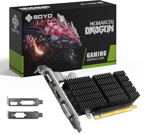 SOYO AMD Radeon R5 230 2GB DDR3 Scheda grafica a basso profilo, porta VGA/DVI/HDMI