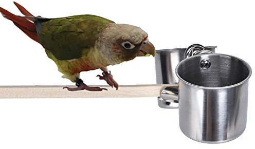 TBWHL Parrot Feeding Cups Hanging Pet Animal Stainless Steel Birdcage Bowls Bird Bowls for Cage Parakeet Birds Cage Accessories Suitable Small and Medium Bird S