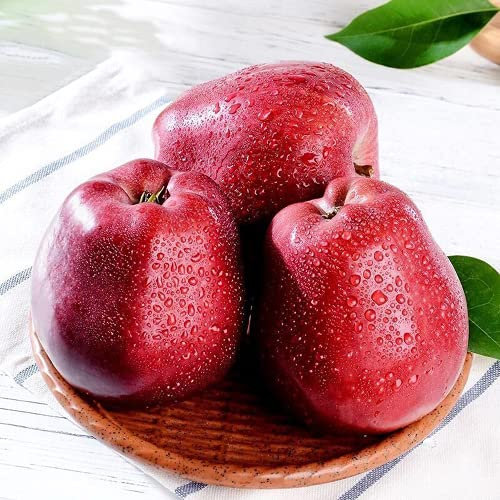 CHTING 50 Stück Dunkelrote Apfel Samen Erfordern Nicht Viel Pflege Geeignet Für Die Bepflanzung Von Gewächshäusern Die Eine Unterschiedliche Elegante Atmosphäre Schaffen