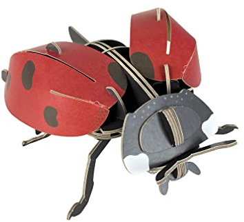 Mini Builds Ladybird 8+