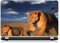 Aufkleber für Laptop, PC, Löwe, Ref. 635, 15,6 Zoll (39,6 cm), 25 x 36 cm