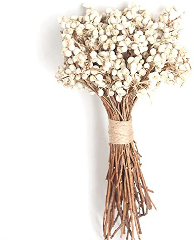 20 Teile / Satz Natürliche Baumwolle Bälle Getrocknete Blume Pflanzen Trockene Echte Weiße Frucht Bündel Party Dekorative Blumen DIY Hochzeitsdekoration