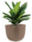 Konzept 11 - Blumentopf Groß Braun, Übertopf 15x15cm, Pflanzentopf Geriffelt mit Untersetzer Basilikum-Topf