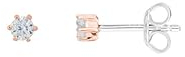 XENOX Ohrringe XS3516R Damen Ohrstecker Sterling-Silber 925 Rose Weiß Zirkonia