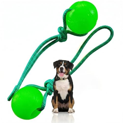 Activity4Dogs Hundeball mit Schnur | Hundespielzeug Ball 2er Pack | schwimmfähig & robust | ohne Geräusch | 76 mm, grün