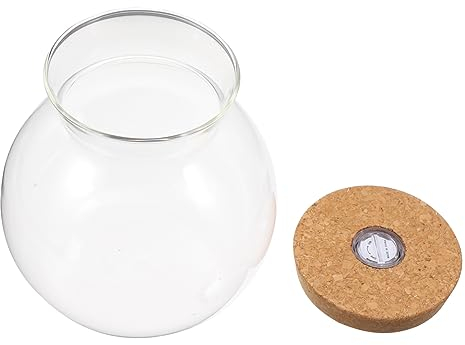 Housoutil -beleuchtete Landschaftsflasche Mini-Aquarium Mit Dekorative Glasvase Einfache Reinigung 360°-beobachtung