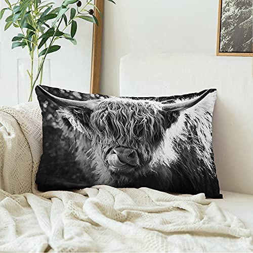 Kopfkissenbezug Braune Schottland Highland Kuh Zunge Auf Nase Tiere Wildlife Natur Grüne Rinder Landwirtschaft Rindfleisch Kissenbezüge Waschbar Kissen Fall Weich Zierkissenbezug Für 40x60cm