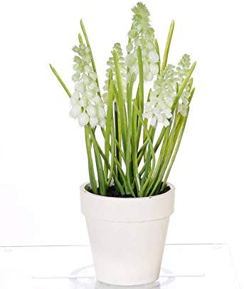 artplants.de Kunstblume Traubenhyazinthe Arabella im Topf, Creme, 25cm, Ø 15cm - Deko Muscari