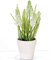 artplants.de Kunstblume Traubenhyazinthe Arabella im Topf, Creme, 25cm, Ø 15cm - Deko Muscari