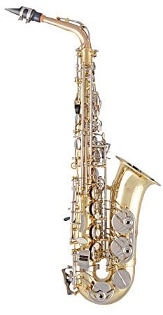 Selmer SAS301 Student Alto Saxophone - Lacquer