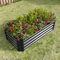 FOUBAM Raised Beds for Garden,Raised Planters for Garden Outdoor,4 X 2 X 1 FT Galvanised Metal Planter Box Beds Steel Kits for Vegetables Flower Herb Patio Black Rectangle
