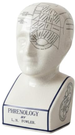 AcaciaHome 12'' L.N. Fowler Phrenology Ceramic Head – Antique Crackle-Glaze Porcelain, Educational & Decorative Medical Collectable, Perfect for Students, Collectors & Historical Display