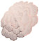 MUELODSIC Peony Flower Placemat Heat Resistant Non Slip Coasters for Hot Dishes Vintage Rustic Table Protector Rose Gold Easy to Clean Dining Accessories