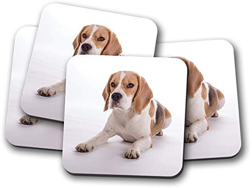 #15524 Untersetzer mit Beagle-Motiv, 4 Stück