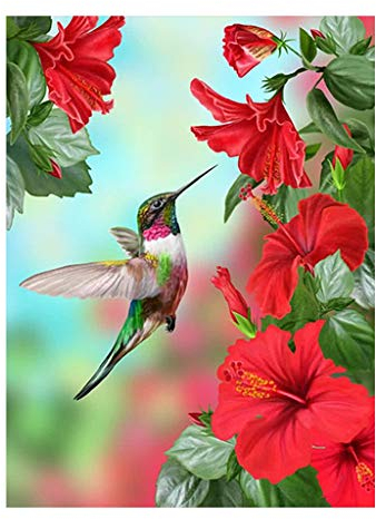 Square Diamonds Kit de Peinture Diamant Carré 5D à Faire soi-Même Colibri et Fleurs au Point de Croix avec Strass Broderie sur Toile avec Diamants Cadeau Mosaïque Carré Peinture au Numero 30 x 40 cm
