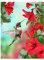 Square Diamonds Kit de Peinture Diamant Carré 5D à Faire soi-Même Colibri et Fleurs au Point de Croix avec Strass Broderie sur Toile avec Diamants Cadeau Mosaïque Carré Peinture au Numero 30 x 40 cm