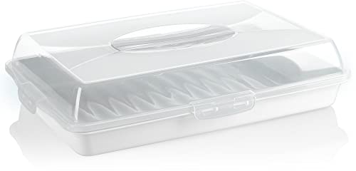 com-four® Recipiente para tartas - Caja de transporte para tartas y alimentos - Recipiente de almacenamiento con tapa y asa (01 piezas - diseño 2 blanco)