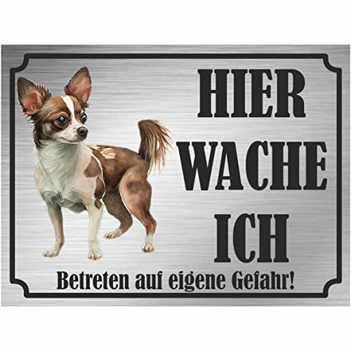 INDIGOS UG - Chihuahua - Schild bedruckt - Hier wache ich - Aluverbundplatte Edelstahl Look - ab 20x15 cm - Spruch - Deko Geschenkidee für Ihren Hund - Zaun - Türschild