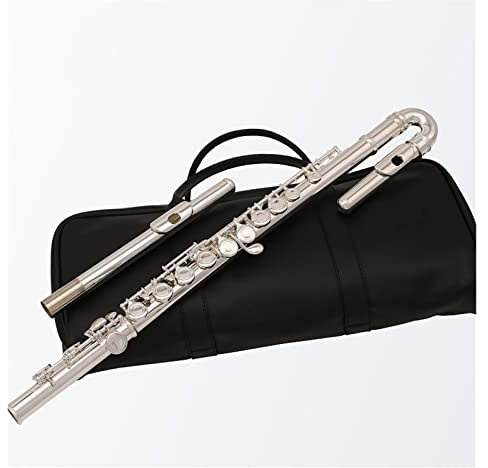 flöte Instrument Querflöte Gebogenes Kopfstück C-Ton Abgesetztes G-Tastenfeld Mit Etui