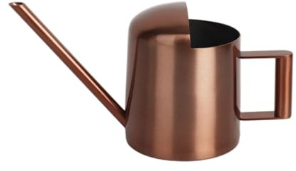 Vynetra Annaffiatoio da interno per piante da interno per 300 ml in acciaio inox lungo beccuccio bottiglia in acciaio inox annaffiatoio