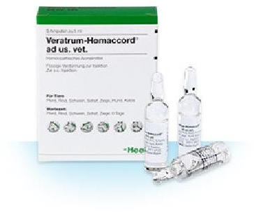 VERATRUM HOMACCORD ad us.vet.Ampullen 50 St