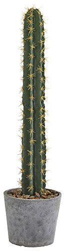 NearlyNatural Cactus en Maceta de Piedra, Color Verde