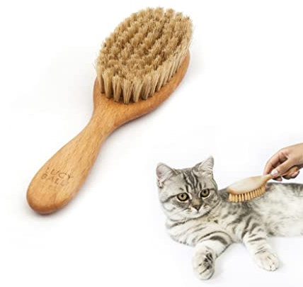 LucyBalu® Katzenbürste für Kurzhaar & Langhaar | Fellbürste für Katzen| Katzenkamm zur Fellpflege von Katzen | Tierhaarbürste für Katzen| Katzenhaarbürste mit Naturborsten & Holzgriff | geölt