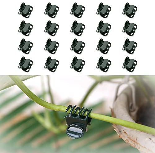 Aidi Orchid Clips, 20 Pcs Plant Clips Climbing Plants, Support Wall Garden Stem Supports Flower Vines, Black (AD-CX-ZWZCJ01-BK20)