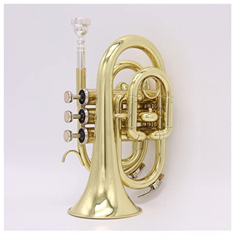 B-Flat Dreifarbige Trompete Mini Palm Number Anfänger Spielen Professionelle Band
