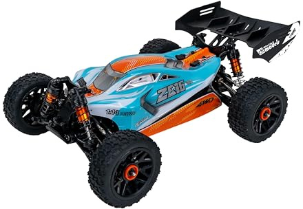 DF Models Z06 B2 Buggy 4WD (ferngesteuertes Auto, 1:14 Scale, Batteriebetrieben, bis zu 60 km/h, Kinderspielzeug) 3200