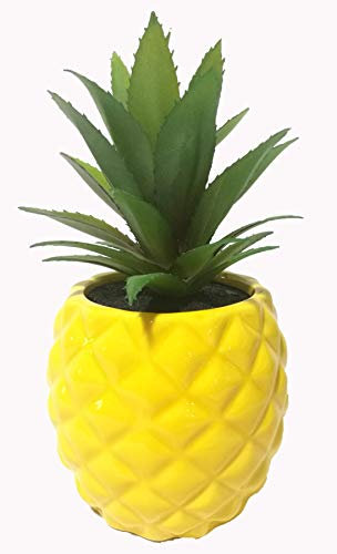 Künstliche Sukkulenten-Pflanze im Topf, 19,8 cm hoch. Porzellantopf in Ananasform, Home & Garden Dekoration gelb