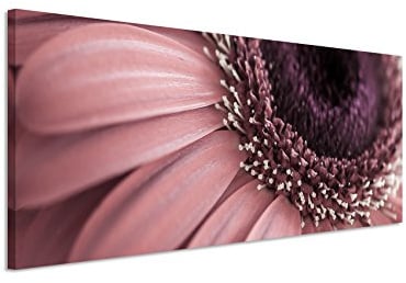 Panorama Fotoleinwand 120x40cm Naturfotografie – blumen in Altrosa auf Leinwand exklusives Wandbild moderne Fotografie für ihre Wand in vielen Größen