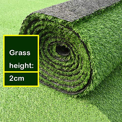 Kunstrasen, for Hunde Rasen Teppich mit Entwässerungsbohrungen Backing Klingen Höhe 2cm Indoor/Outdoor-Landschaft (Size : 79x20in)