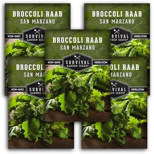 San Marzano Raab Broccoli Rabe Seeds for Planting – Italian Heirloom Rapini Variety, Fast-Growing Cool-Season Greens, Non-GMO High Yield Vegetable Garden Favorite – Survival Garden Seeds (5 Packs)