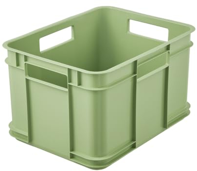 keeeper Transportbox mit Tragegriffen, Euro-Box M, 16 l, 35 x 27 x 22 cm, Bruno Eco Line, Grün (Eco Grass Green)