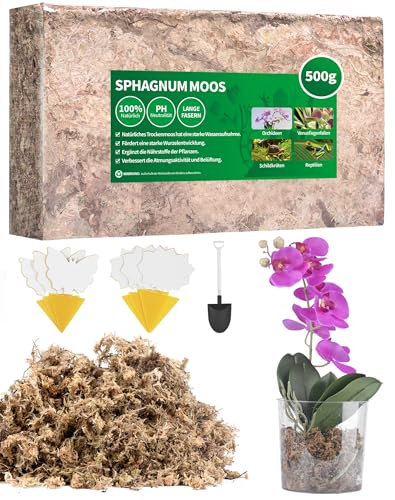 500g Sphagnum Moos für Pflanzen Terrarium Orchideen Torfmoos Terrarienmoos Peat Moss Feuchtigkeitsspendende Ernährung Natürliches TerrarienSubstrat für Orchideen Moos mit Trauermücken Gelbsticker