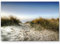 Paul Sinus Art Leinwandbilder | Bilder Leinwand 120x80cm Weg zum Strand durch Sanddünen