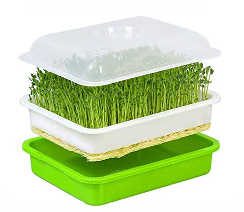 Sprouting Kit Starter, Sprouter For Sprouting Seeds Square, Bean Sprouts Maker Seed Trays For Seedlings Reusable With Lids Hydroponics Microgreens Growing Kit Sprouting Jar Plastic Germination Box