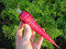 Karottensamen, BIO (2000 SEEDS) Atomic Red!